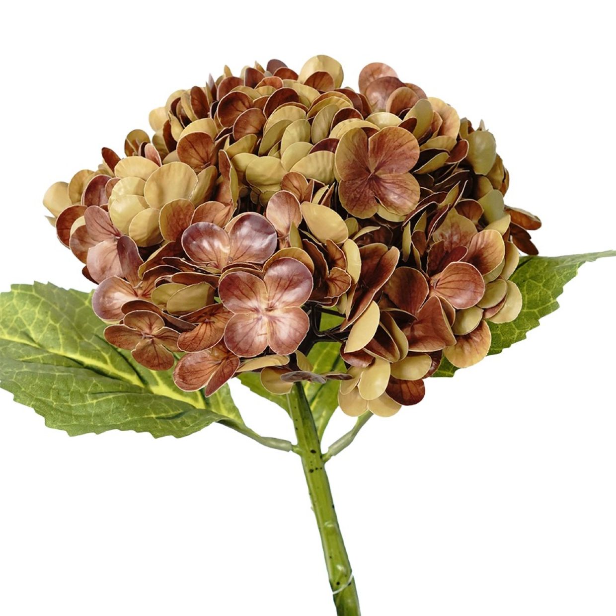 Hydrangea Stem (Autumn) Natural Touch 49cm